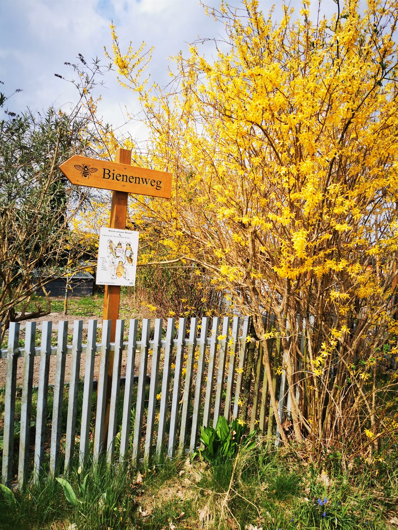 Bienenweg im Frühling